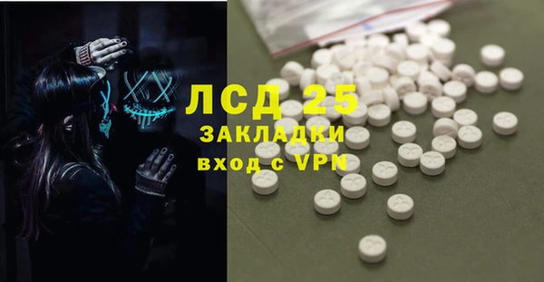 PSILOCYBIN Аркадак