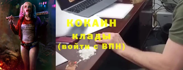 PSILOCYBIN Аркадак