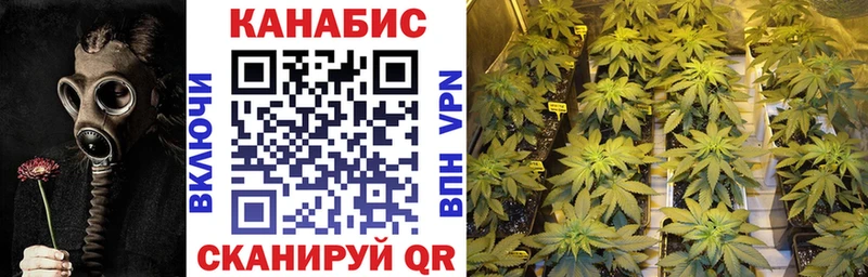 МАРИХУАНА тримм  как найти наркотики  Чернушка 
